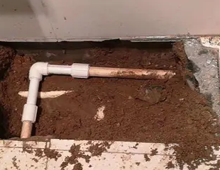 平坝测漏水哪家好