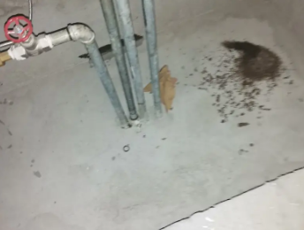 平坝卫生间测漏水价格明细