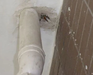 平坝漏水检测哪家好